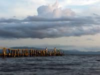 Abendliche Besucher am Bootssteg - Golf von Nicoya